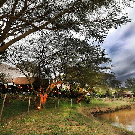 Aitong Mara River Lodge מראה חיצוני תמונה