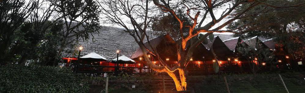 Aitong Mara River Lodge מראה חיצוני תמונה
